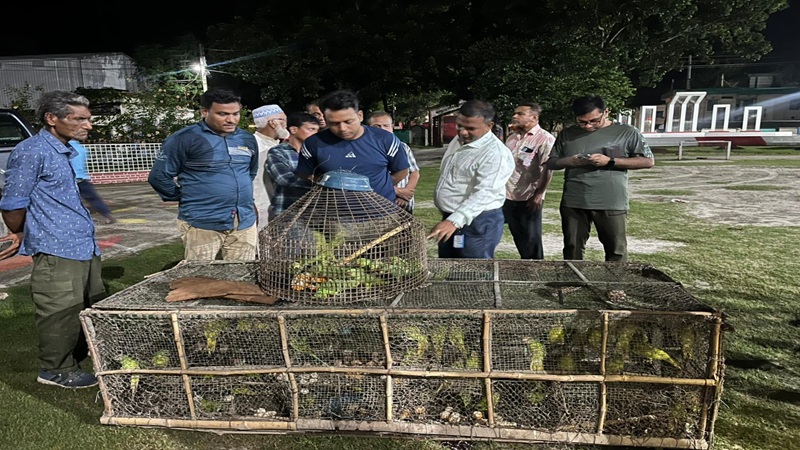চাঁপাইনবাবঞ্জে অবৈধভাবে শিকার করা ৮০টি টিয়া পাখি উদ্ধারের পর মুক্ত আকাশে অবমুক্ত